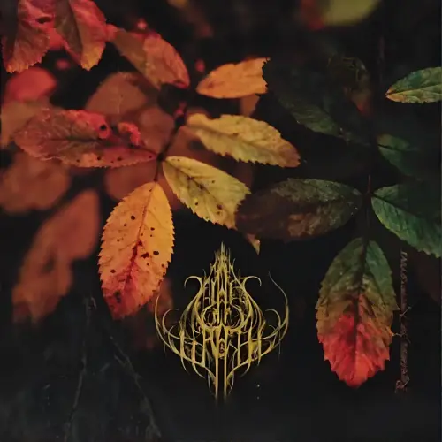 Vials Of Wrath : Remnants for Remembrance